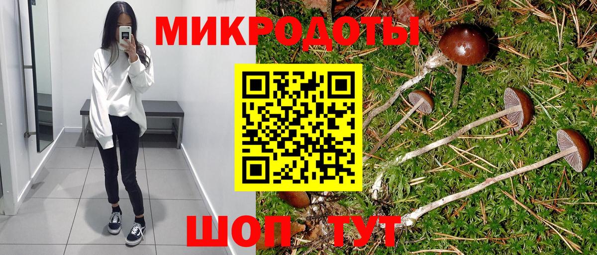Псилоцибиновые грибы прущие грибы Ессентуки