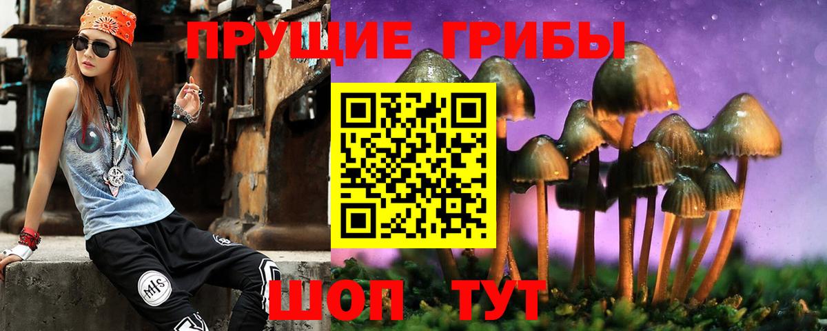 сколько стоит  Псилоцибиновые грибы ЛСД  Вход с VPN  Ессентуки 